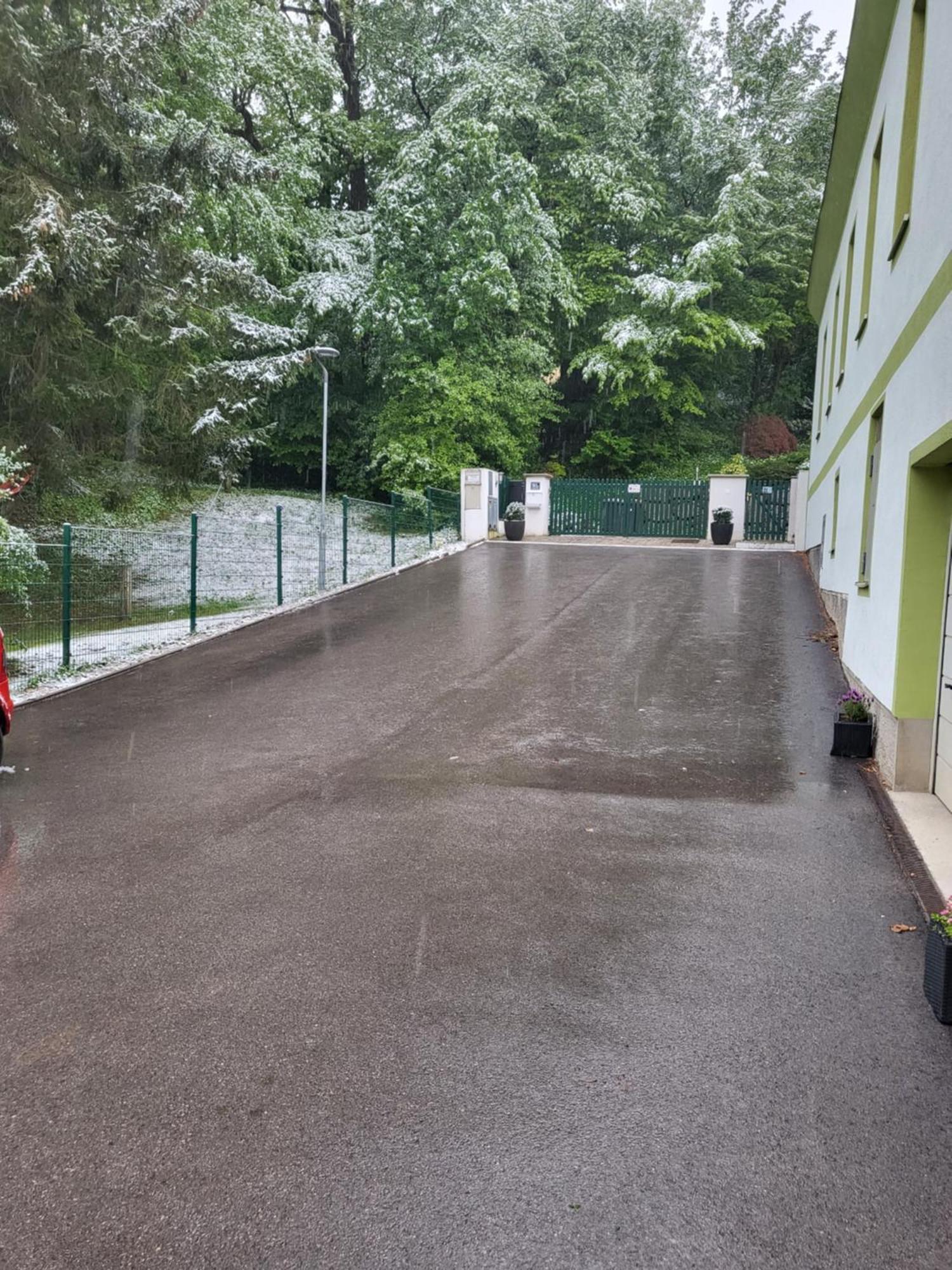 Appartement Purzel Mauerbach المظهر الخارجي الصورة